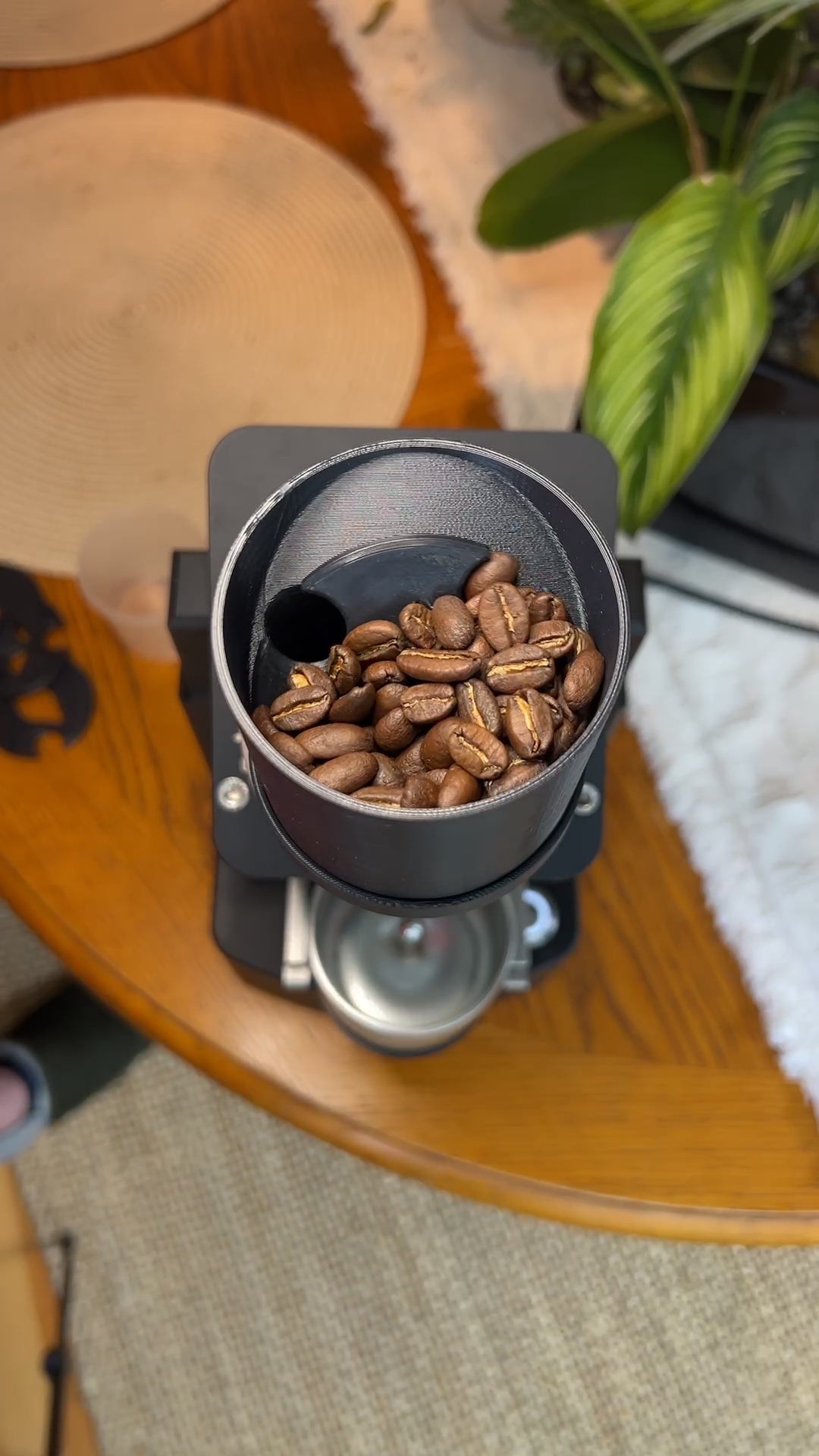 Trickler V1 – BeanVibes